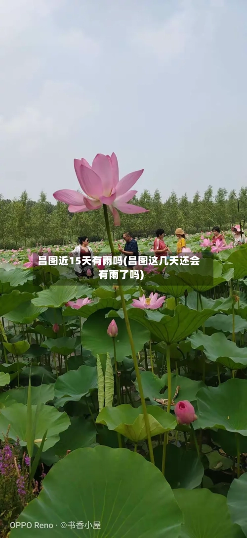 昌图近15天有雨吗(昌图这几天还会有雨了吗)