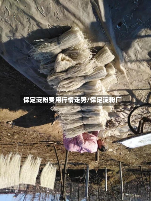 保定淀粉费用行情走势/保定淀粉厂