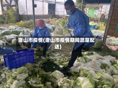 唐山市疫情(唐山市疫情期间蔬菜配送)