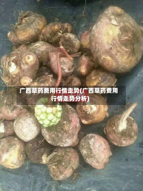 广西草药费用行情走势(广西草药费用行情走势分析)