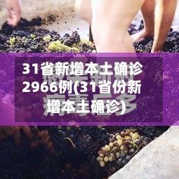 31省新增本土确诊2966例(31省份新增本土确诊)