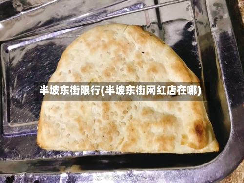 半坡东街限行(半坡东街网红店在哪)