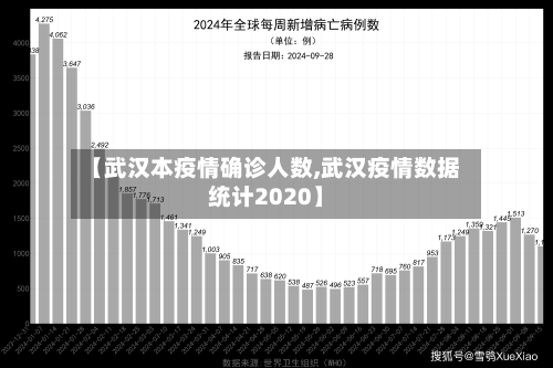 【武汉本疫情确诊人数,武汉疫情数据统计2020】