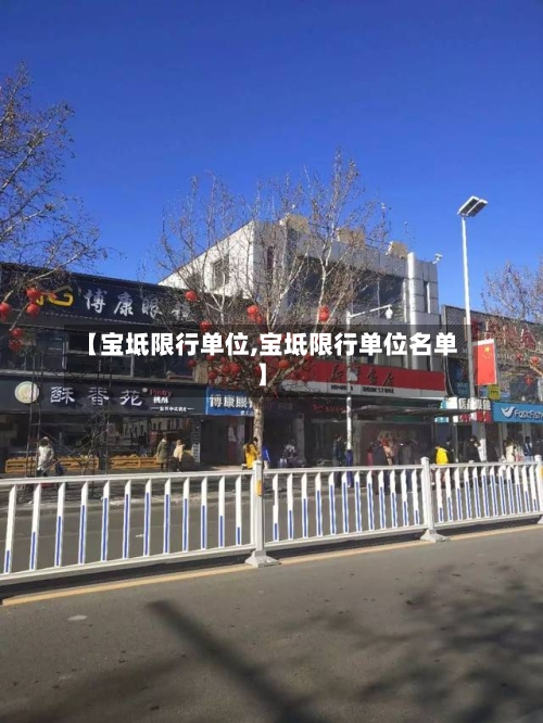【宝坻限行单位,宝坻限行单位名单】