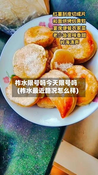 柞水限号吗今天限号吗(柞水最近路况怎么样)