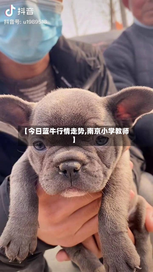 【今日蓝牛行情走势,南京小学教师】