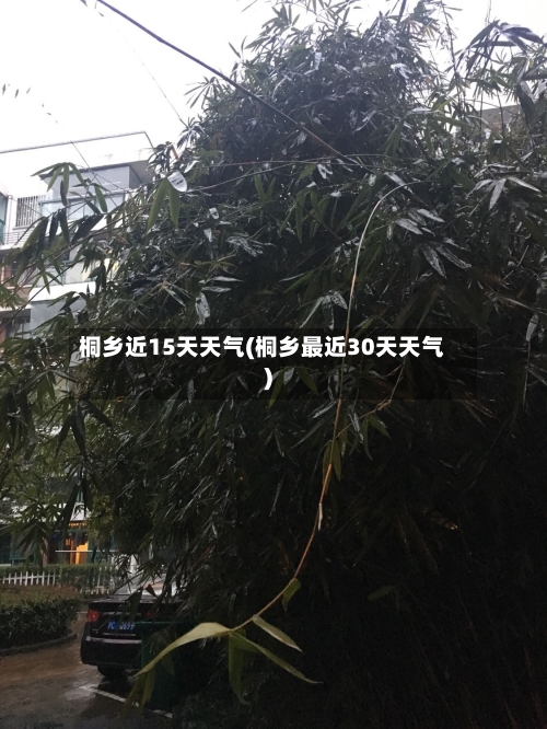 桐乡近15天天气(桐乡最近30天天气)