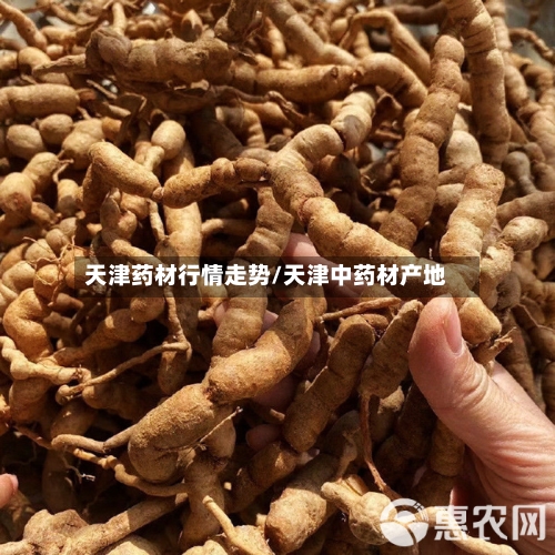 天津药材行情走势/天津中药材产地