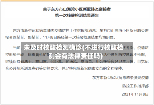 未及时核酸检测确诊(不进行核酸检测会有法律责任吗)