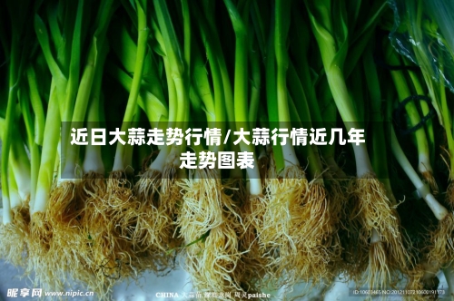 近日大蒜走势行情/大蒜行情近几年走势图表