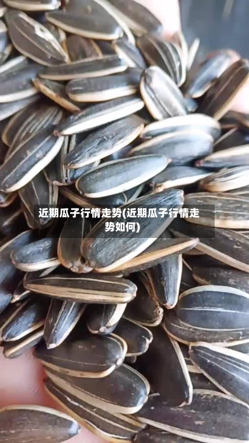 近期瓜子行情走势(近期瓜子行情走势如何)