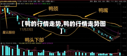 【鸭的行情走势,鸭的行情走势图】