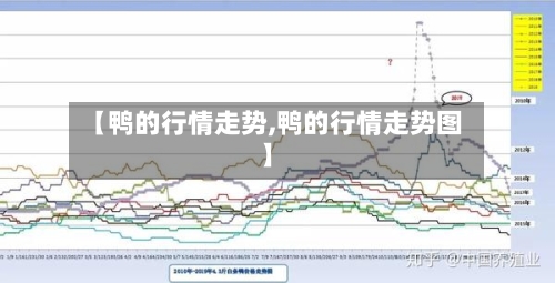 【鸭的行情走势,鸭的行情走势图】