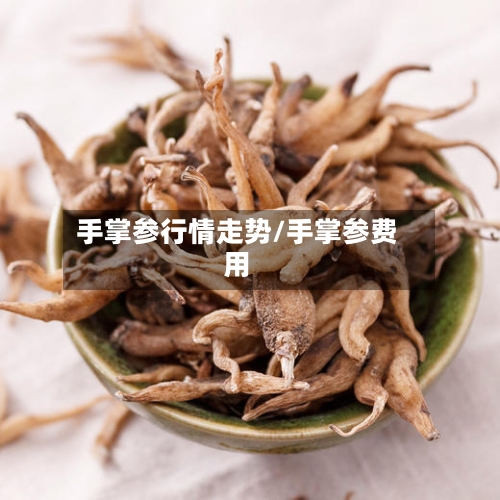 手掌参行情走势/手掌参费用
