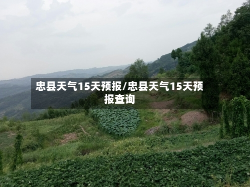 忠县天气15天预报/忠县天气15天预报查询