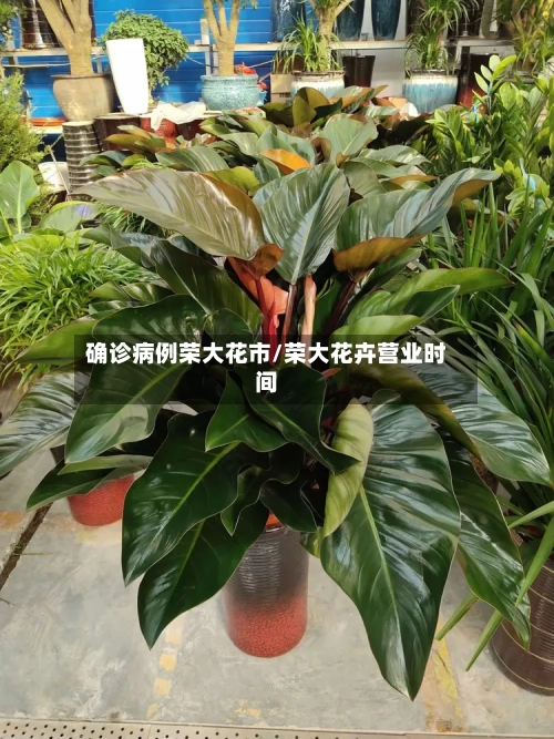 确诊病例荣大花市/荣大花卉营业时间