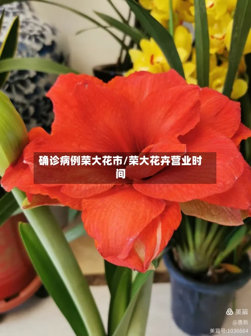 确诊病例荣大花市/荣大花卉营业时间