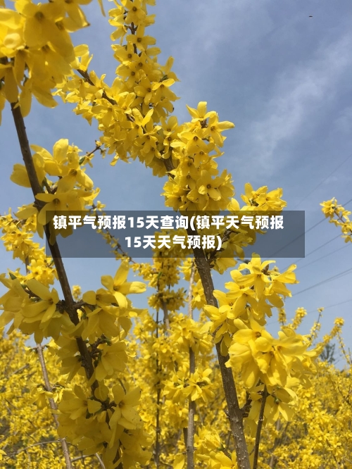 镇平气预报15天查询(镇平天气预报15天天气预报)