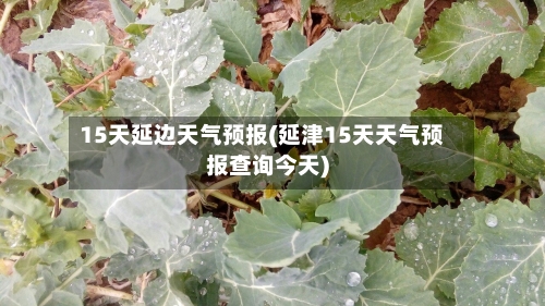 15天延边天气预报(延津15天天气预报查询今天)