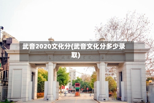 武音2020文化分(武音文化分多少录取)
