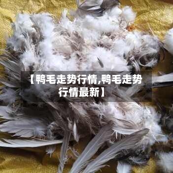 【鸭毛走势行情,鸭毛走势行情最新】