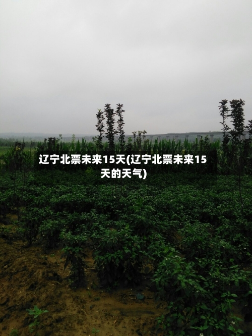 辽宁北票未来15天(辽宁北票未来15天的天气)