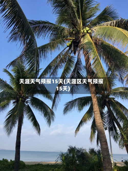 天涯天气预报15天(天涯区天气预报15天)