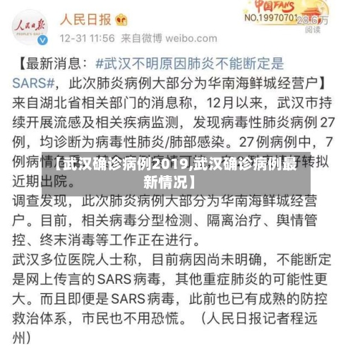 【武汉确诊病例2019,武汉确诊病例最新情况】