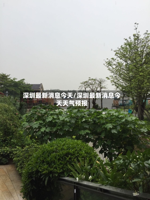 深圳最新消息今天/深圳最新消息今天天气预报