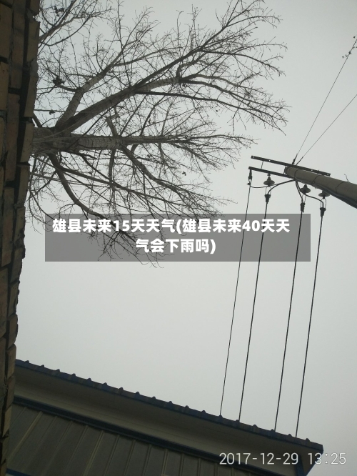 雄县未来15天天气(雄县未来40天天气会下雨吗)