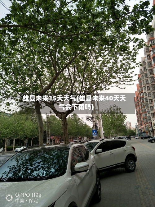 雄县未来15天天气(雄县未来40天天气会下雨吗)